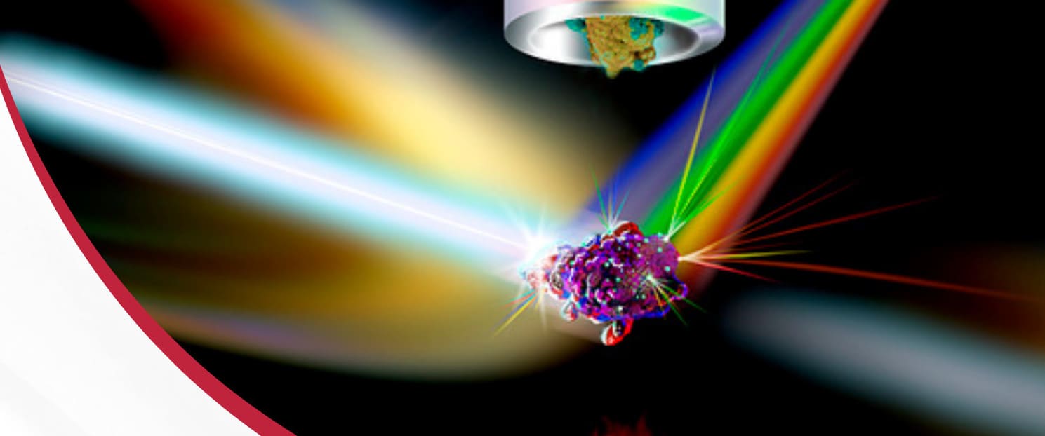 picture of Flow Cytometry Lunch and Learn flyer